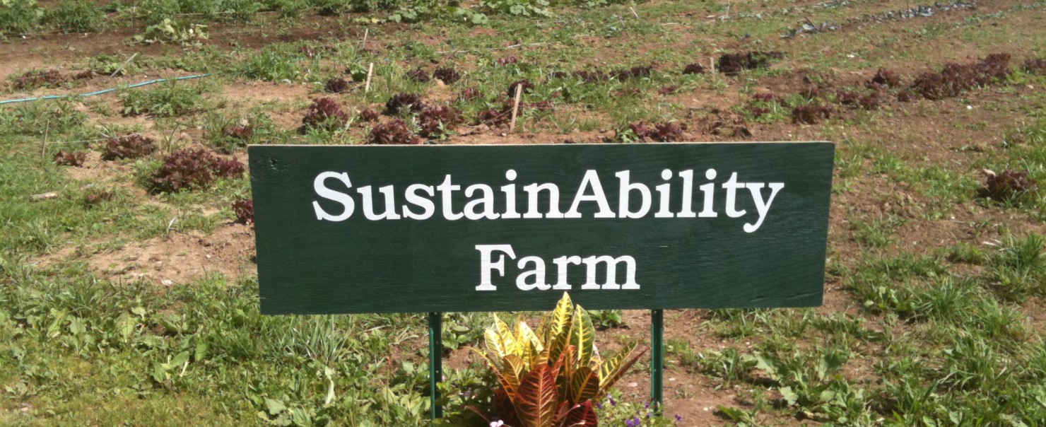SustainAbility Farm